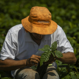 Agroprestamo